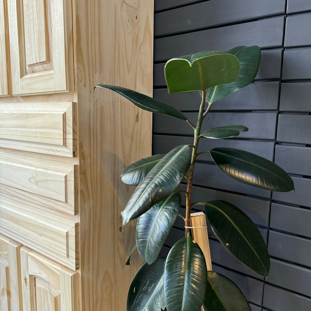 despensero-pop-puerta-ciega-060-1421